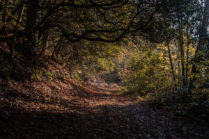 longcliff