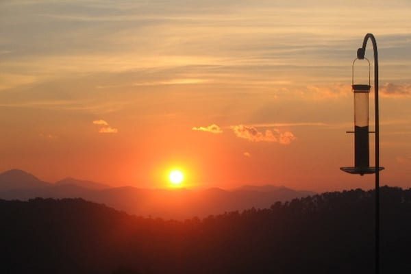 poplar ridge at sunset