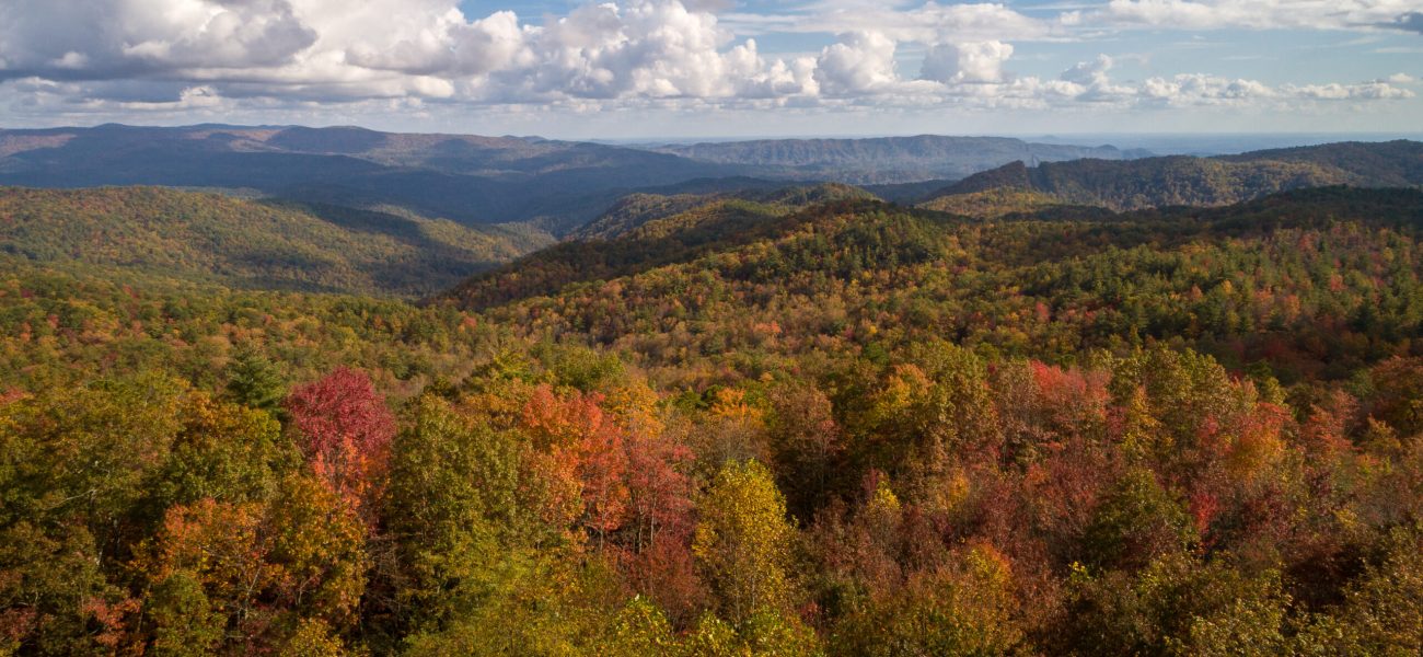 longcliff